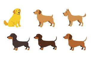 Active brown dog sitting still and running with a big smile and fluffy fur vector