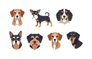 Joyful brown dog jumping, running, and sitting in a fun-loving pose vector