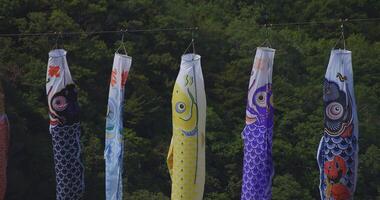 Carp streamers at Ryujin big bridge in Ibaraki daytime sunny handheld video
