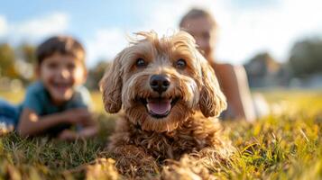 A cheerful dog enjoys lying in the grass while two children play nearby on a sunny day in a park. The joyful atmosphere highlights the bond between them and nature. photo