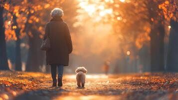 A woman in a long coat walks her small dog along a tree lined path covered with fallen leaves. The golden light of evening creates a peaceful atmosphere in the park. photo