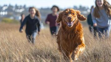 A golden retriever runs happily through a field while a group of children chase after it, enjoying a bright sunny day filled with laughter and energy. photo