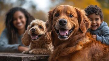 Golden retriever and poodle sit happily while a child and adult pose behind them, all enjoying a sunny autumn day in a park filled with colorful leaves. photo