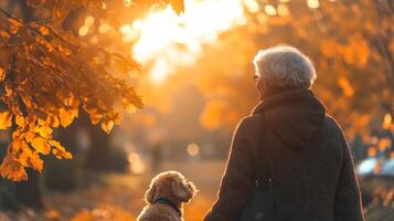 Senior woman enjoys a peaceful walk with her golden retriever dog in a park during the serene autumn sunset, surrounded by vibrant orange and yellow leaves. photo