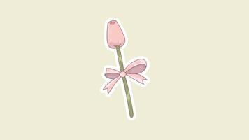 Elegant Pink Tulip Animation Loop on Beige Background in 4K video