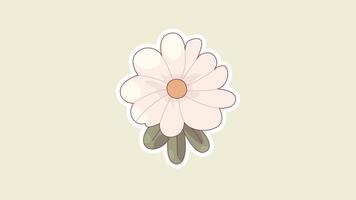 Daisy Animation Loop with Soft Beige Background in 4K video