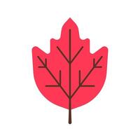 Illustration an autumn leaf in a simple style vector