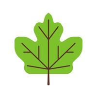 A green maple leaf icon on a white background vector