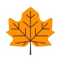 A maple leaf icon on a white background vector