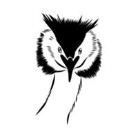 a black and white drawing of a bird with a long mohawk vector