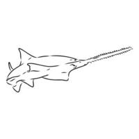A drawing of a stingray with a long tail vector