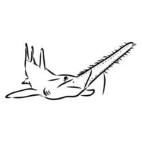 A drawing of a fish with long fins vector