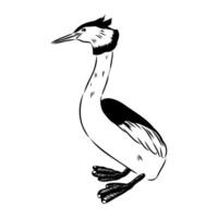 a drawing of a bird with long legs vector