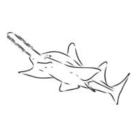 A drawing of a shark swimming in the ocean vector