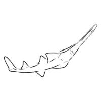 a drawing of a shark with a tail vector