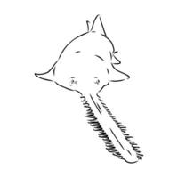 A drawing of a shark with a long tail vector