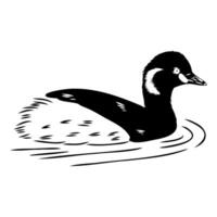 a black and white drawing of a duck swimming vector