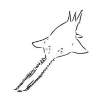A drawing of a shark with a long tail vector