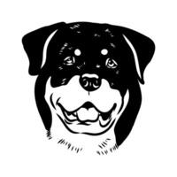 A black and white drawing of a dog's face vector
