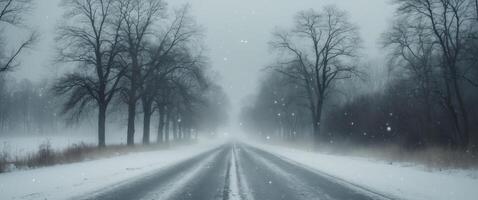 A snowy road with trees in the background photo