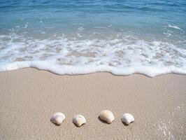 Seashells on the beach with ocean waves photo