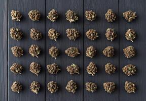 Overhead view of cannabis buds arranged in rows on a dark wooden surface photo