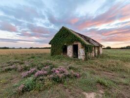 Overgrown abandoned house in a field at sunset photo