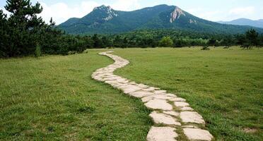 Stone path winding through a grassy field towards mountains photo