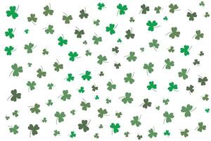 Special pattern of green clovers on white background vector