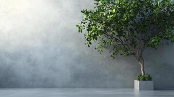 A tree is in a small planter in front of a wall photo