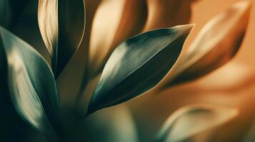 A close up of a leaf with a brownish tint photo