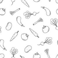 Seamless Pattern of drawing vegetables in doodle style. A set of illustrations of the harvest corn potatoes carrots radishes beets vector