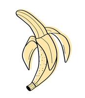 Banana fruit cartoon sketch icon. concept of for diet, healthy food, doodle style. Isolate on white. vector