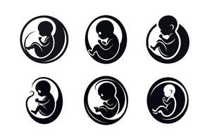 developing fetuses in the womb icon set vector