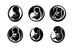 Silhouette icons of developing fetuses in the womb icon vector