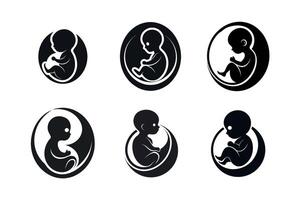 developing fetuses in the womb vector
