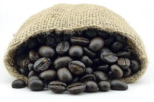 Burlap sack overflowing with dark coffee beans photo