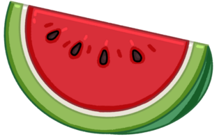 Fresh watercmelon illustration png