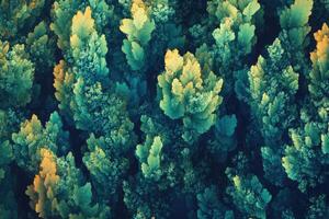 Fractal forest canopy creating lush green and gold abstract pattern photo