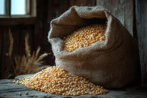 Dried corn kernels spilling from burlap sack in rustic barn photo