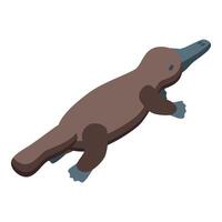 An illustration of a platypus on a white background vector