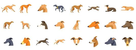 Italian greyhound posing and running in different styles vector