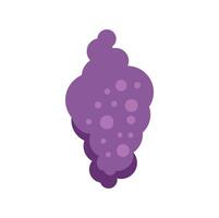 Bunch of purple grapes hanging from vine in flat design style vector