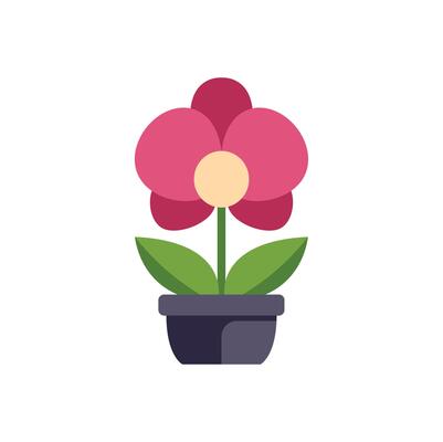 Blooming orchid growing in pot, vibrant flat illustration of houseplant