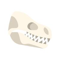Dinosaur skull showing sharp teeth on white background vector