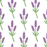 Vibrant lavender seamless tile pattern with sprigs of lavender soft green stems and fragrant floral touches vector