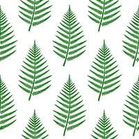 Soft green fern leaves seamless tile pattern with delicate fronds symbolizing new life and renewal vector