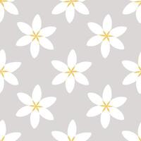 Pretty jasmine seamless tile pattern with delicate white petals and fragrant blossoms vector