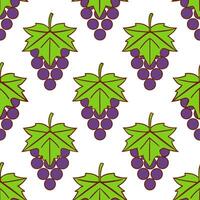 Lush grapevine seamless tile pattern with clusters of grapes and autumn leaves vector