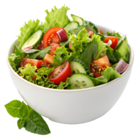 Fresh garden salad with a variety of vegetables served in a white bowl on a clean background png